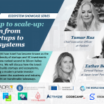 From Start-Up to Scale-Up: The evolution from building start-ups to building ecosystems in Israel